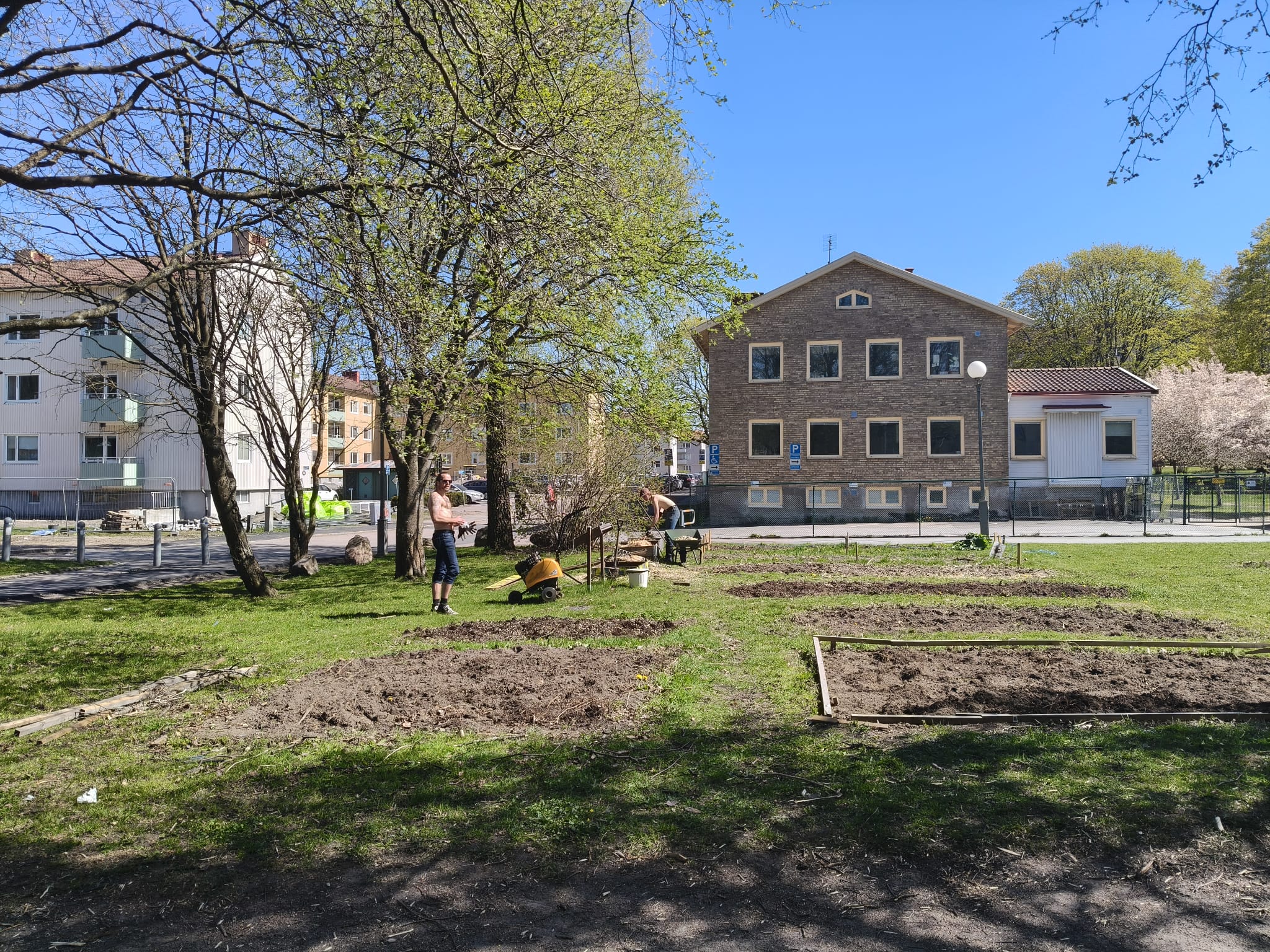 Odlingen